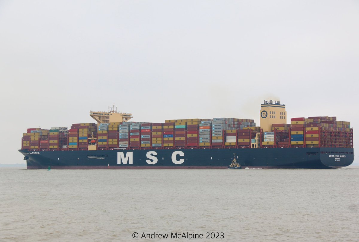 Seen sailing from #Felixstowe yesterday @MSCCargo #MSCCelestinoMaresca at 24116TEU  along with sistership #MSCTessa she was the worlds largest boxship but this record was only held until the arrival of the larger #MSCLoreto #shipspotting #shipsinpics @ContainerMag