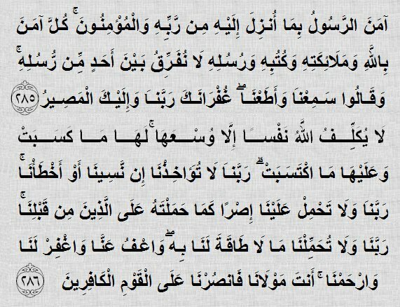 تسبيح و استغفار tweet media