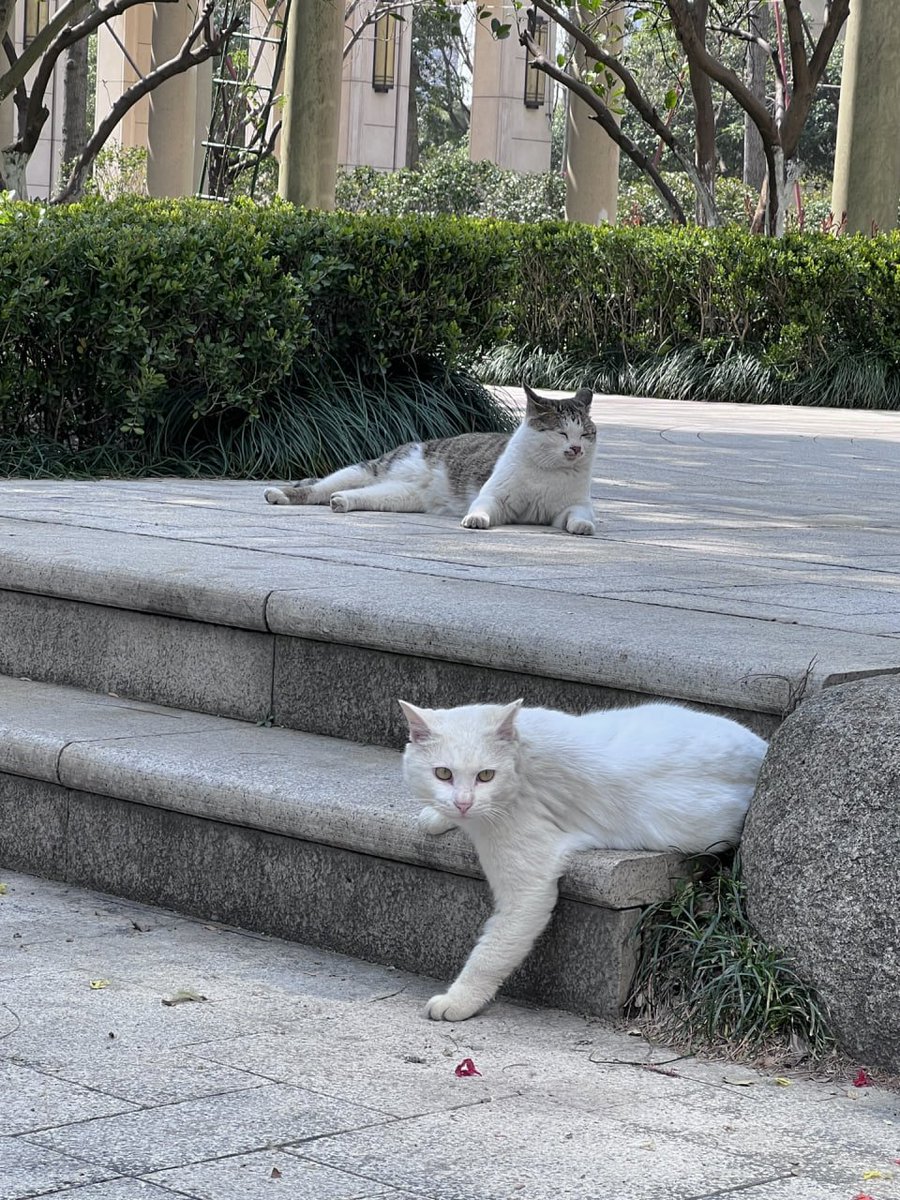 You keep staring at me, are you hungry?👀👀👀