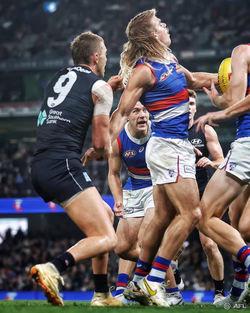 That’ll be $1000 thanks Patrick 💸 #AFLBluesDogs