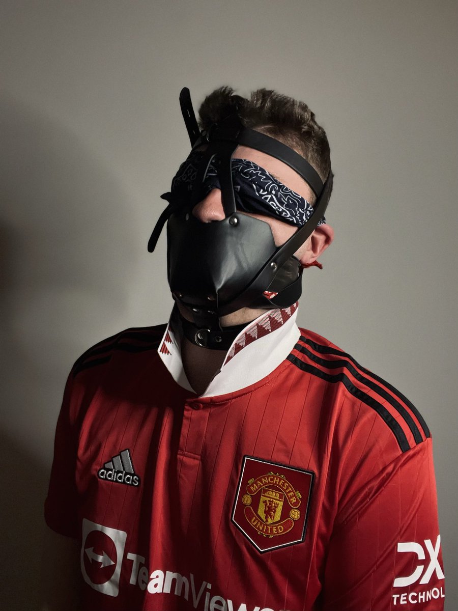 Bound Jake tweet media