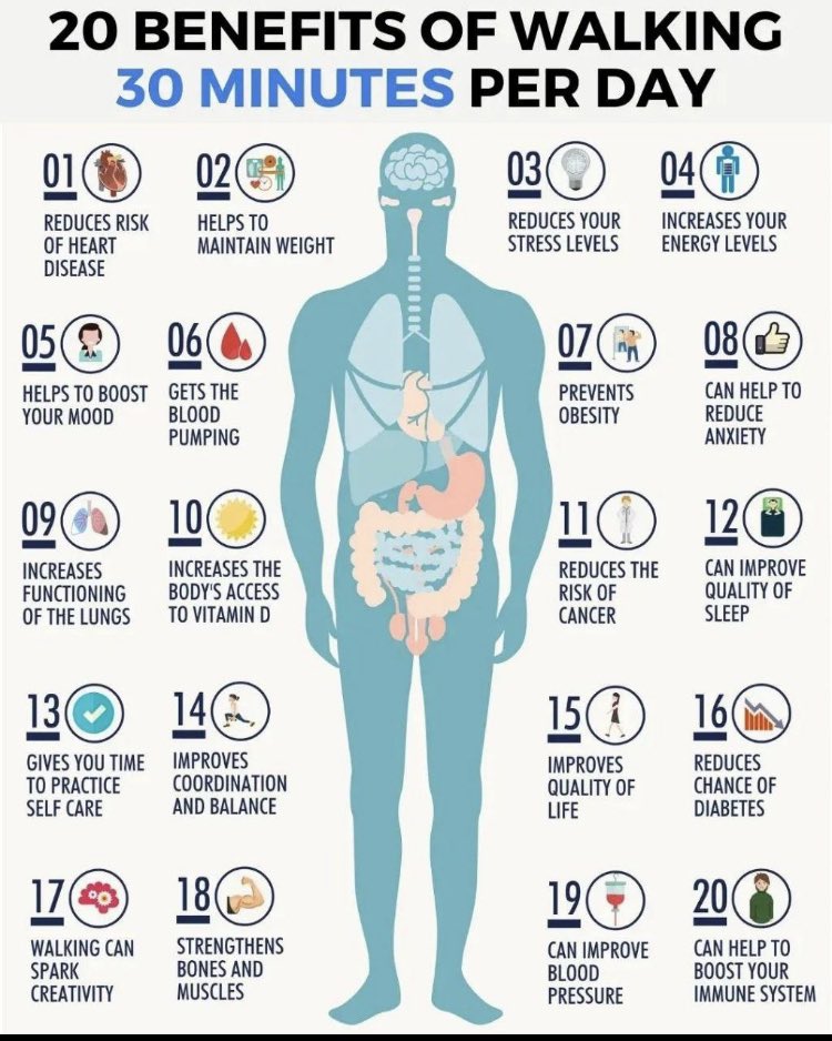gargi_satvic's tweet photo. #Walking decrease Kapha, balance Vata &amp; increase Pitta Doshas. It is considered to be the best low-intensity exercise to boost metabolism &amp; fat loss. 
The best time to walk is between 6-10am. #Ayurveda recommends walking 100 steps after every meal to activate Agni.
#HealthyLiving https://t.co/B02Ae2ZkSZ