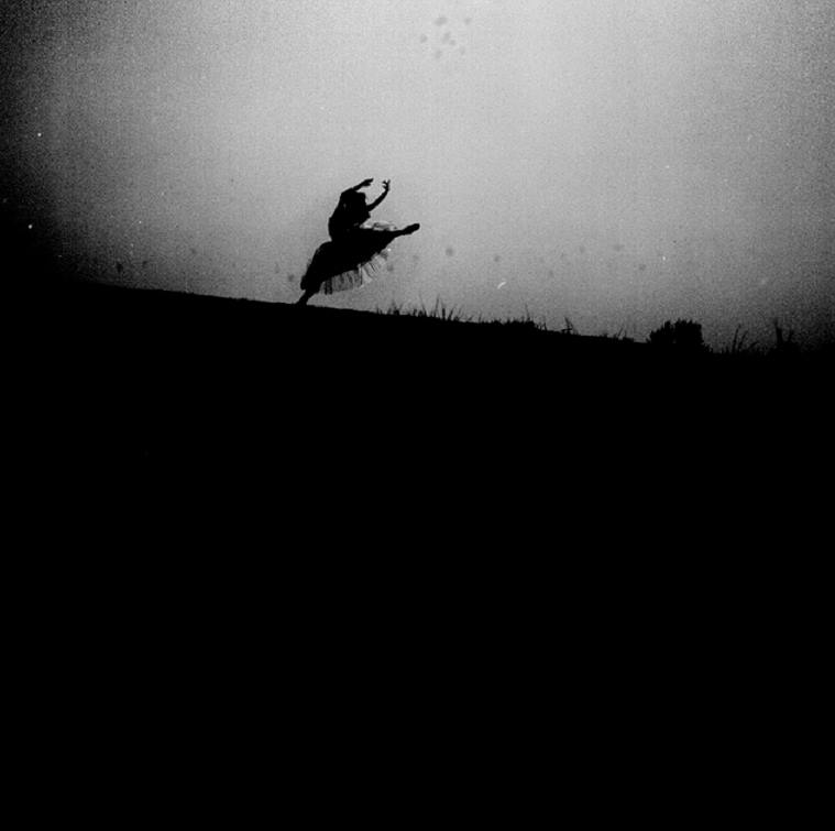 inthemoodfortw's tweet photo. Dance me to the end https://t.co/zTChjkl6sY