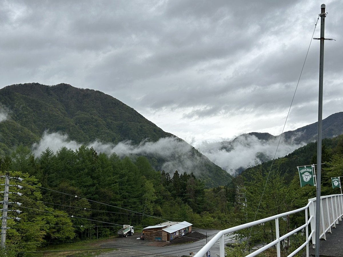 5時間ぐらい運転して疲れたけど目が血走った子グマ可愛かった☺️
雲が自分より下にあるの楽しい https://t.co/BmcfmWrKml