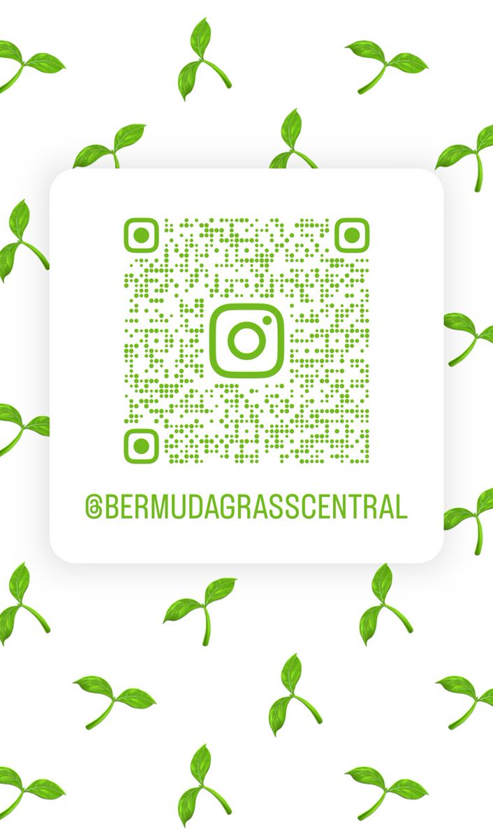 BermudaGrassCentral tweet media