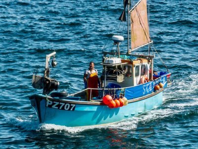 FD_Editor's tweet photo. NUTFA writes to Ministers over “ill-conceived” MCA Medical Certificate https://t.co/UC8lRs3UQk
#ukfishingnews #ukfishingindustry #fishingnewsUK #commercialfishingnews #fishingnews #dailyfishingnews #MCAMedicalCertificate #NUTFA @fishsarah https://t.co/q8wdmGHueC