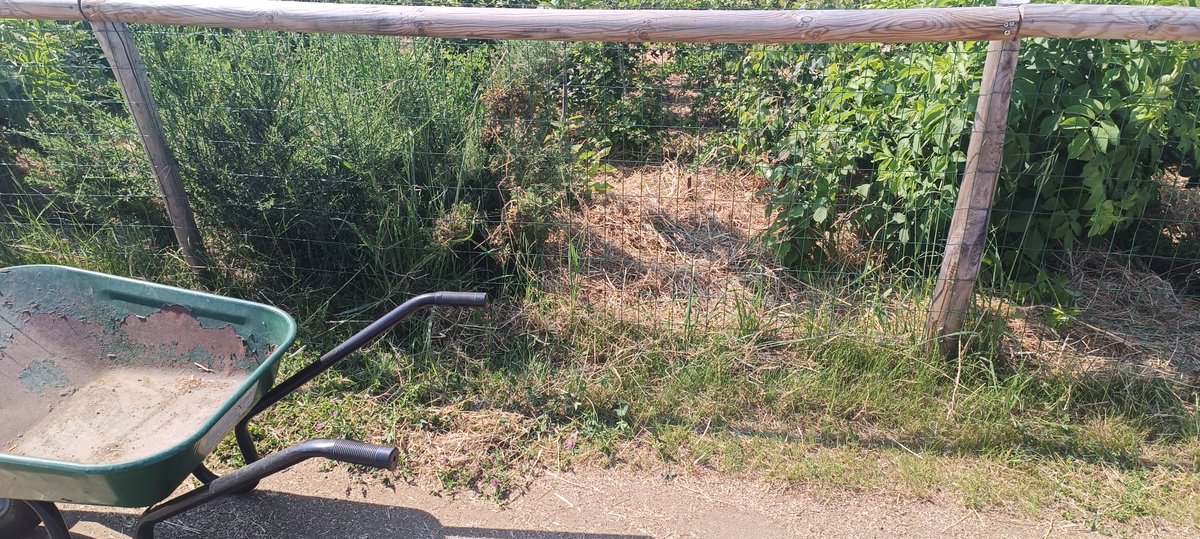 Frionjeff's tweet photo. La forêt de la Fontaine a eu le droit à du paillage ce matin. La paille sert à nourrir et à garder de la fraîcheur sur la période d'été.
Bravo aux bénévoles et à l'association. https://t.co/2pXvLwbFX4