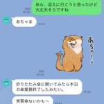 可愛くて面白い夫とのLINE。折りたたみ傘が本日の業務終了!？