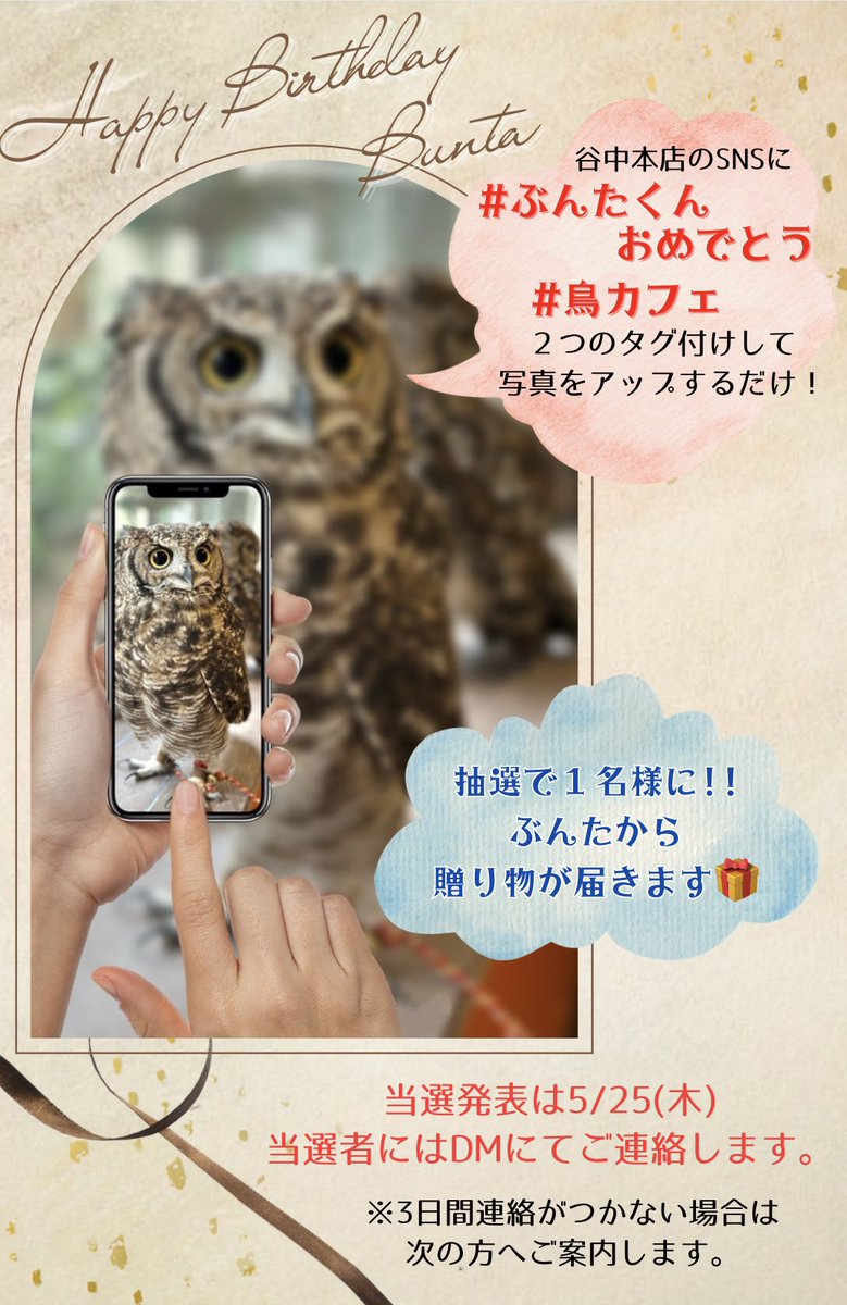 toricaferoppong's tweet photo. 🎊ぶんたバースデーウィーク🎊その②

さらに‼️期間中に
#ぶんたくんおめでとう #鳥カフェ をタグ付けして、谷中本店での楽しい写真をSNSに投稿すると...

抽選で1名様にぶんたから特別な
🎁プレゼント🎁が贈られますっ‼️

#アフリカワシミミズク #フクロウ https://t.co/9YHSMSnQ9Y
