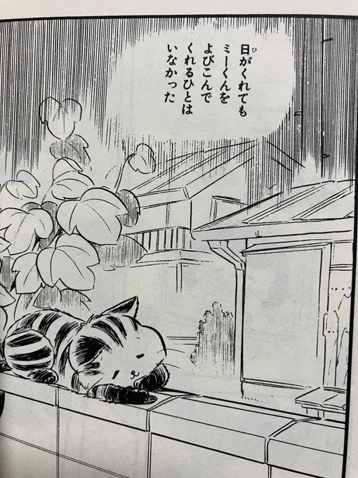 私の人生を変えた猫 #お前らガチ泣きしたシーン晒せよ