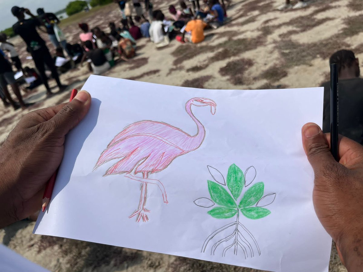 A Direcção Nacional de Educação Ambiental do Ministério do Ambiente em parceria com a Fundação Otchiva celebraram o dia Mundial das Aves Migratórias com algumas crianças da comunidade Tapo, no município de Talatona.