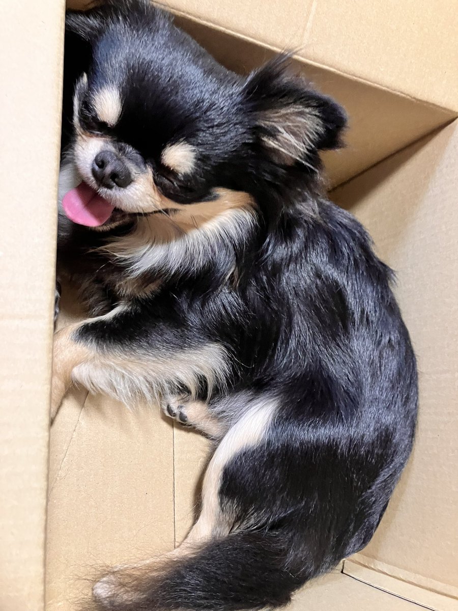 「くぅ〜キマるねぇ〜‼︎‼︎‼︎」 https://t.co/WNEyz5VnR4