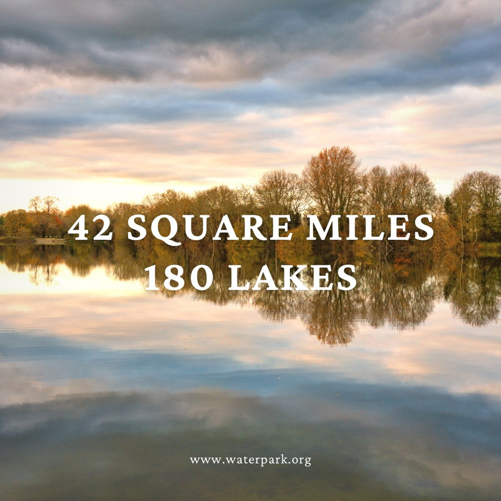 Watermark Holidays tweet media