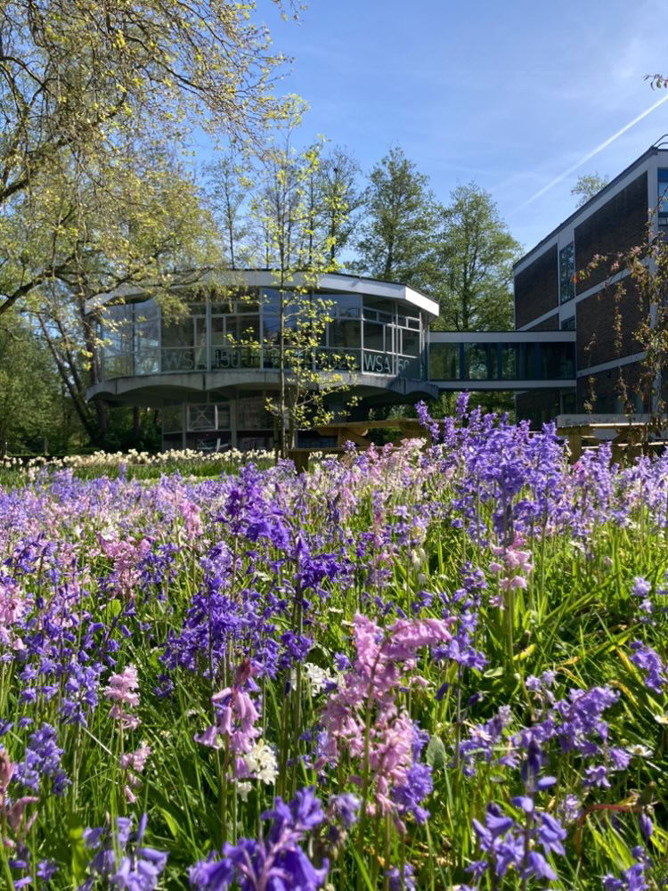 unisoton_wsa's tweet image. Sping has offically blommed on campus!💜

#winchesterschoolofart #winchester #wsa #spring #wsacampus #uoscampus #uniofsouthampton