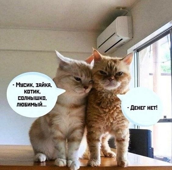 w_humor's tweet photo. https://t.co/QPyOofIO2r