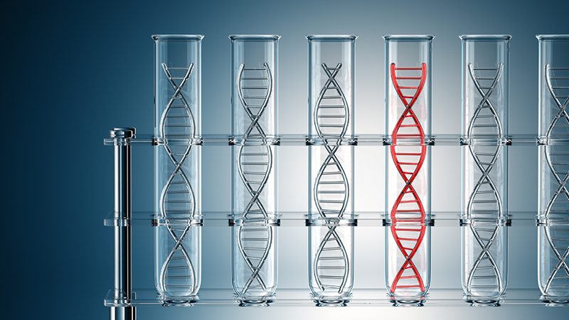 genomicsedu's tweet photo. New in our blog: This week we examine the #DDDStudy and the #genomes100k project, looking at who they recruited, what they achieved and the ways in which they have broadened our understanding of #GenomicMedicine: https://t.co/iZ3WwHESq1 https://t.co/SOC6LY47CH