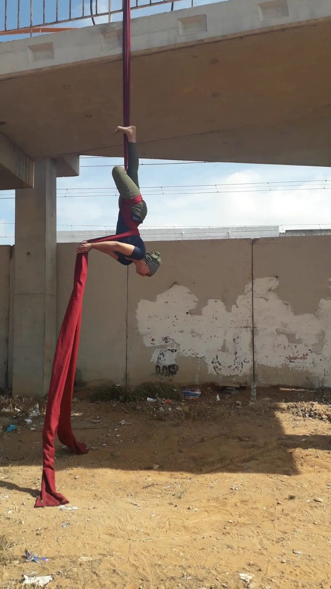 TRANSGANG tweet media