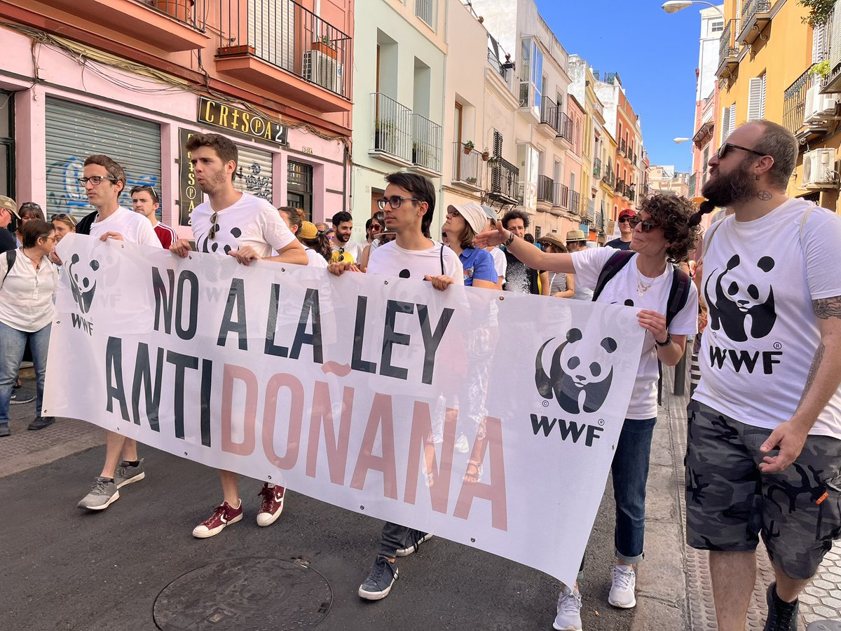 jcdelolmowwf's tweet photo. Hoy salimos a la calle con @SalvemosDonana para recordar al presidente @JuanMa_Moreno que #Doñana no es un juguete electoral sino #PatrimoniodelaHumanidad 

La sociedad española y europea exige la retirada de la #LeyAntiDoñana YA!  

#EnDefensaDeDoñana
@VSinkevicius @Teresaribera https://t.co/G2NyOV235m