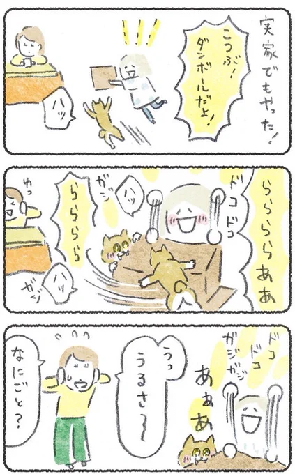 実家でもドコドコして遊んだよ🌟 はなし→ 