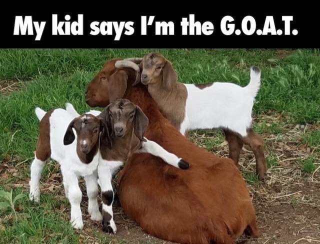 NatlParkService's tweet image. Happy Mother’s Day! 

To all of the moms and mother figures in our lives: Thank you for all that you do!

#MothersDay