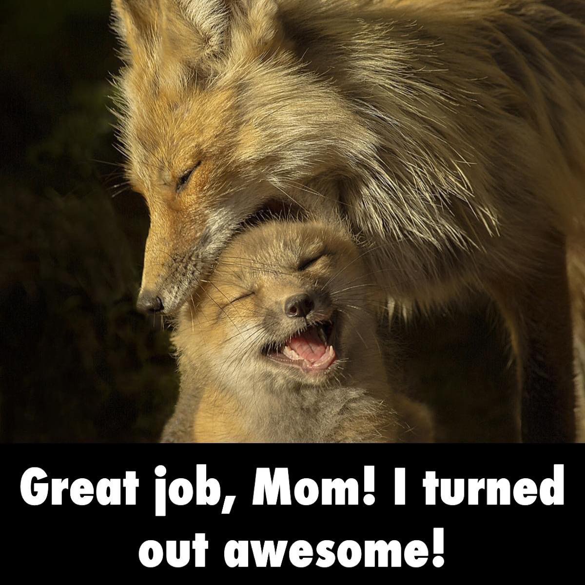 NatlParkService's tweet image. Happy Mother’s Day! 

To all of the moms and mother figures in our lives: Thank you for all that you do!

#MothersDay