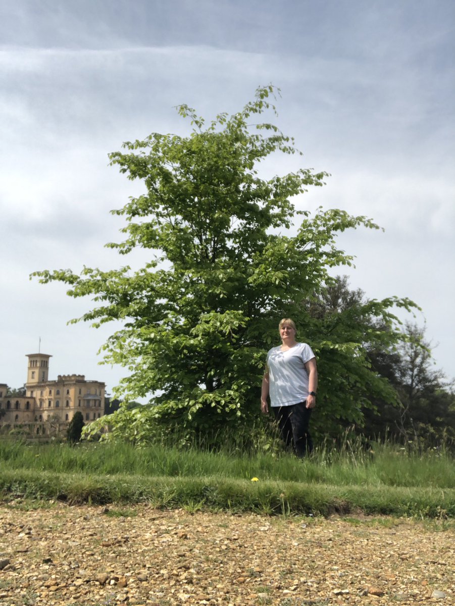 squirrelnutter's tweet photo. Visited Edward’s tree this afternoon - it looks amazing, and in such a beautiful spot. (With thanks to Mr Christopher Warleigh-Lack) #memorial #OsborneHouse @EnglishHeritage #IsleofWight https://t.co/QjQh9GsmUs