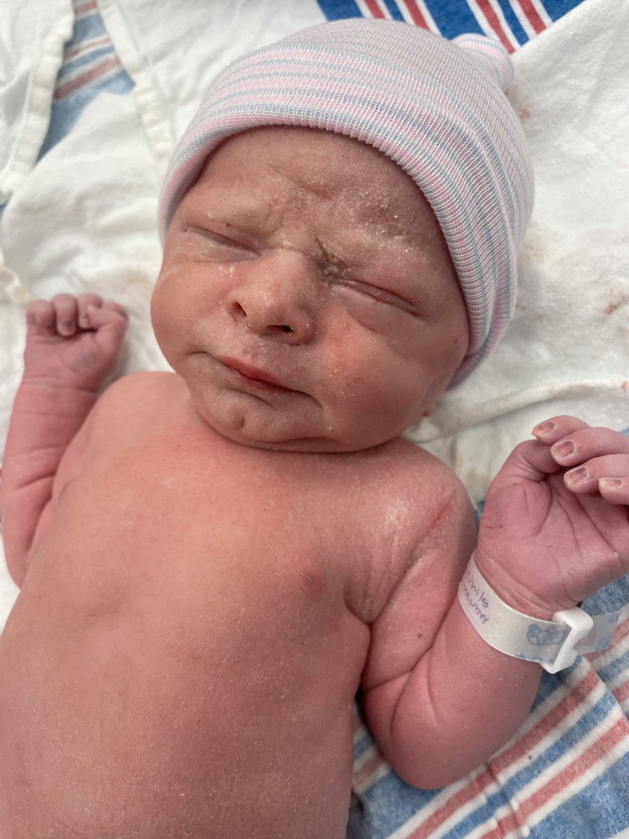 kpmaloyauthor tweet media