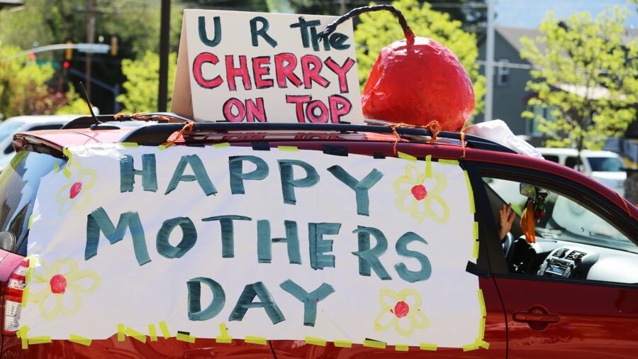 RareFruit_PB's tweet image. ❤️HAPPY MOTHERS DAY! 🌺🌸🌼🌻🪷🌞

The best Mothers Day gift is a fruit tree.🥑🍊🍎🍌🍏🍓🍑🥭

 #rarefruit #rarefruittrees #rarefruits #mothersday #Mothersday2023 #mothersdaygift