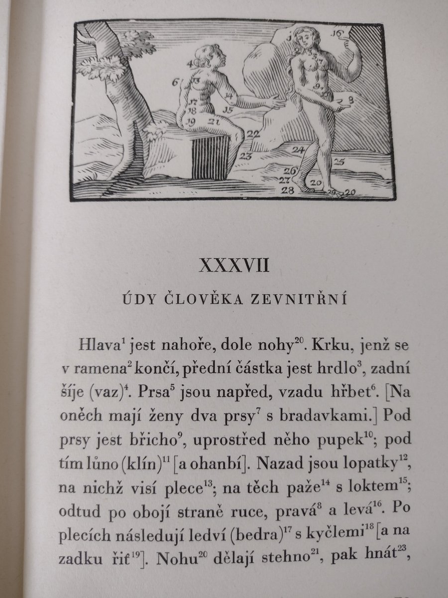 Oruto40141682's tweet photo. Ať dělám, co dělám, jedenáctku na obrázku nevidím! Jak se z toho mám něco naučit!

Jan Amos Komenský zatajuje informace. Stop autocenzuře!

#OrbisPictus
#zkouškové
#puberta

:) https://t.co/3ELIA5SmI4