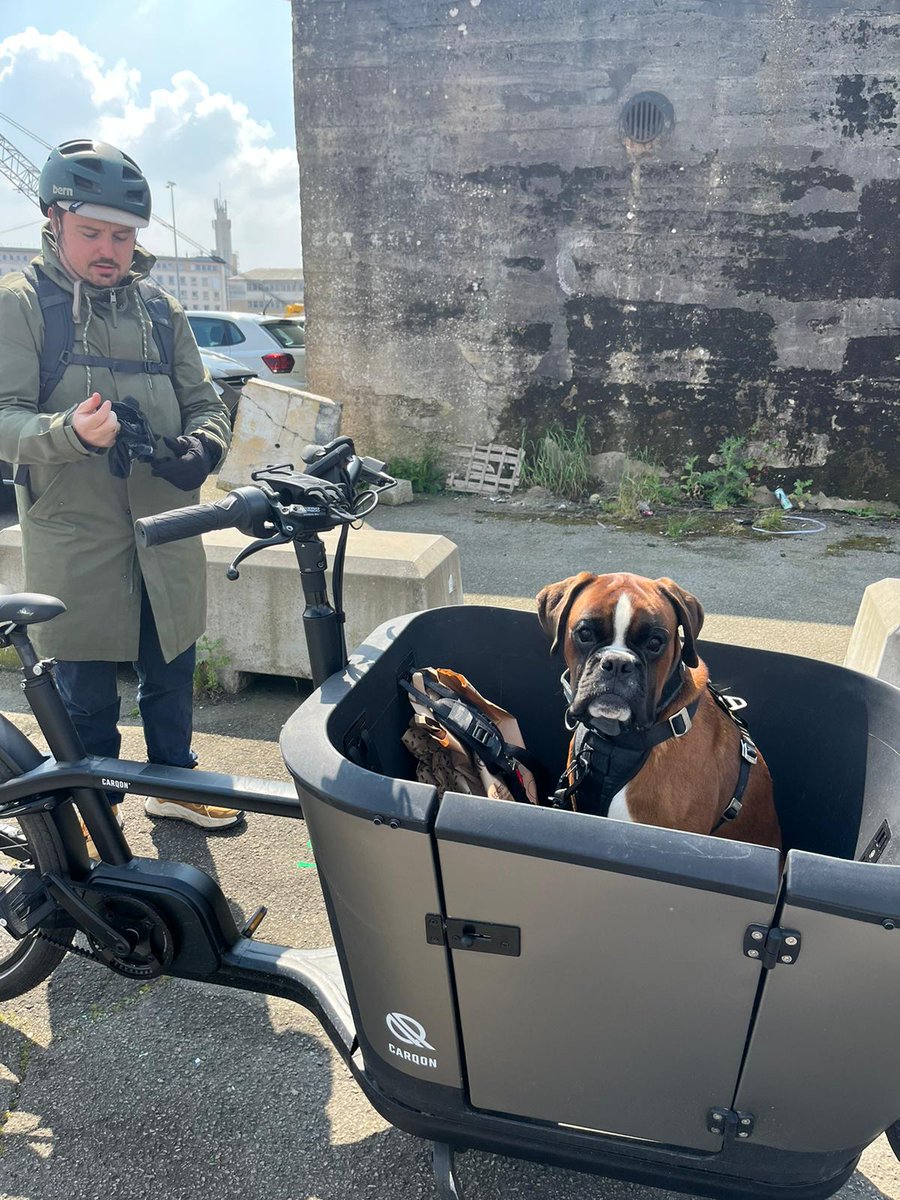 Pascual Gabriel tweet media