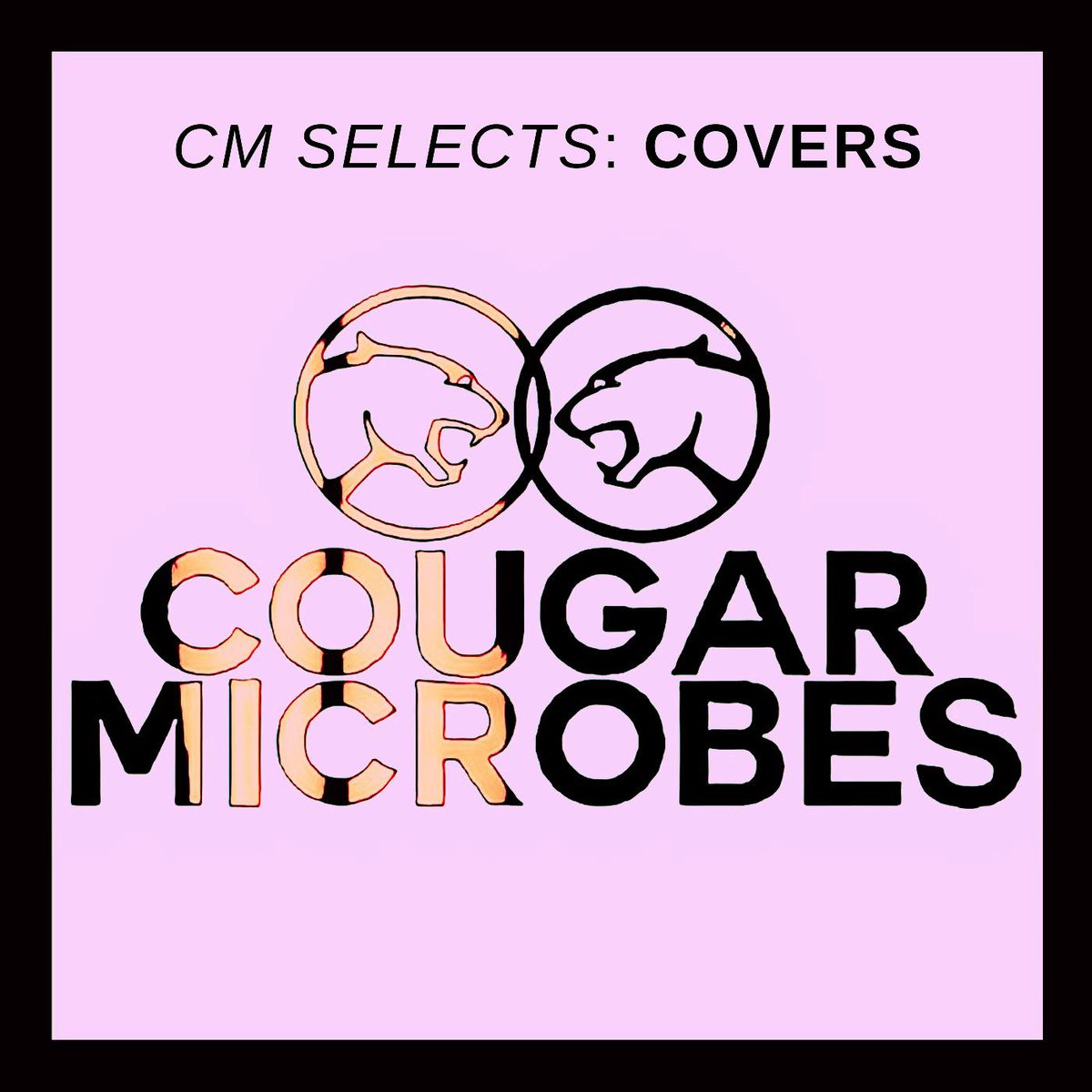 cougarmicrobes's tweet photo. π΅ We've handpicked 5 captivating cover tracks that left a lasting impression on us! Dive into our CM Selects post and discover these gems. Feat. @samiatheband, @Midtown, @iamhazelenglish, @thelegofgrandma, and @florencemachine. #CMSelects #CoverSongs
https://t.co/oXYrCgTKCV https://t.co/CuK8QotzGA