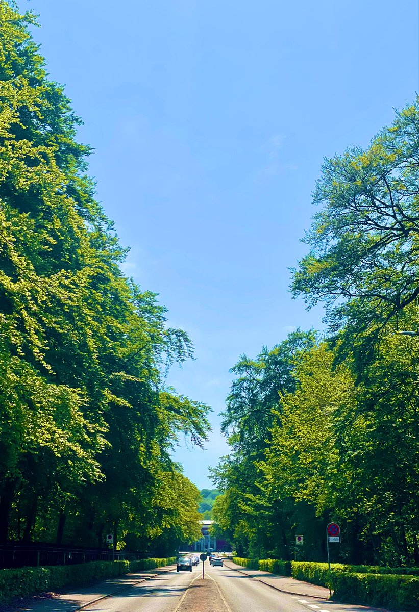Landets smukkeste stadion-gåtur venter i dag 😎🏟️😍 #ksdh #agffcn