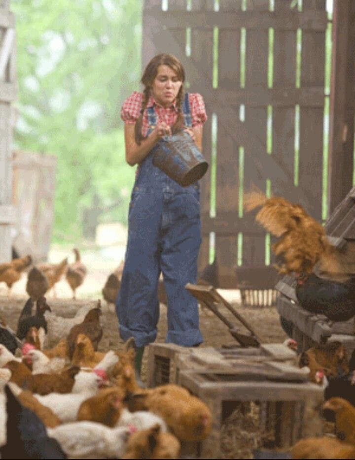 hauteblood's tweet photo. i just want a miley stewart crowley corners tenesse summer https://t.co/XCzeScYO53