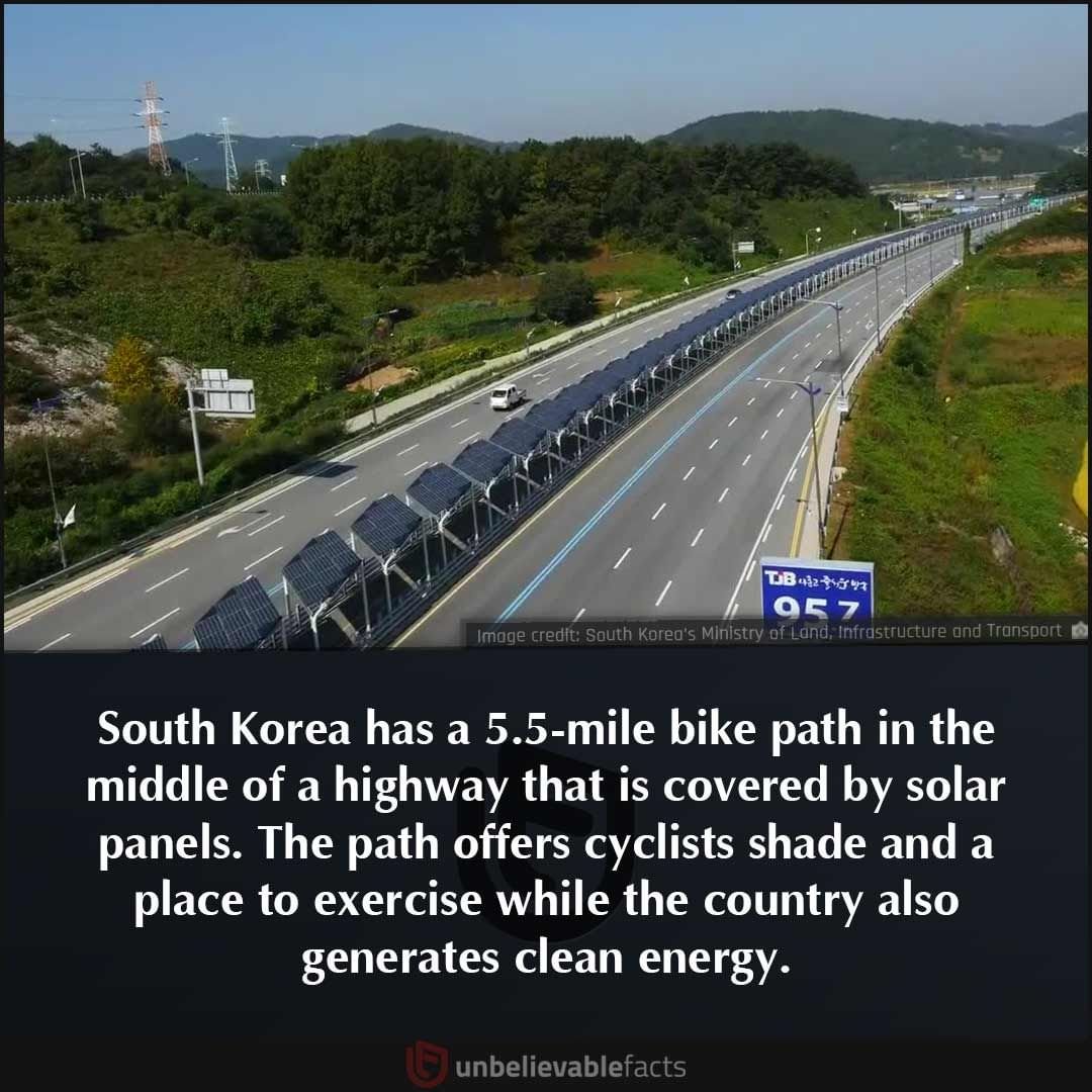 mdf200's tweet image. Can you imagine using central reservations for cycle paths all over Scotland, covering them with solar panel "covers". How amazing would this be. A safe inter town/city route, using space that's already there, and being wasted.

#CyclePaths