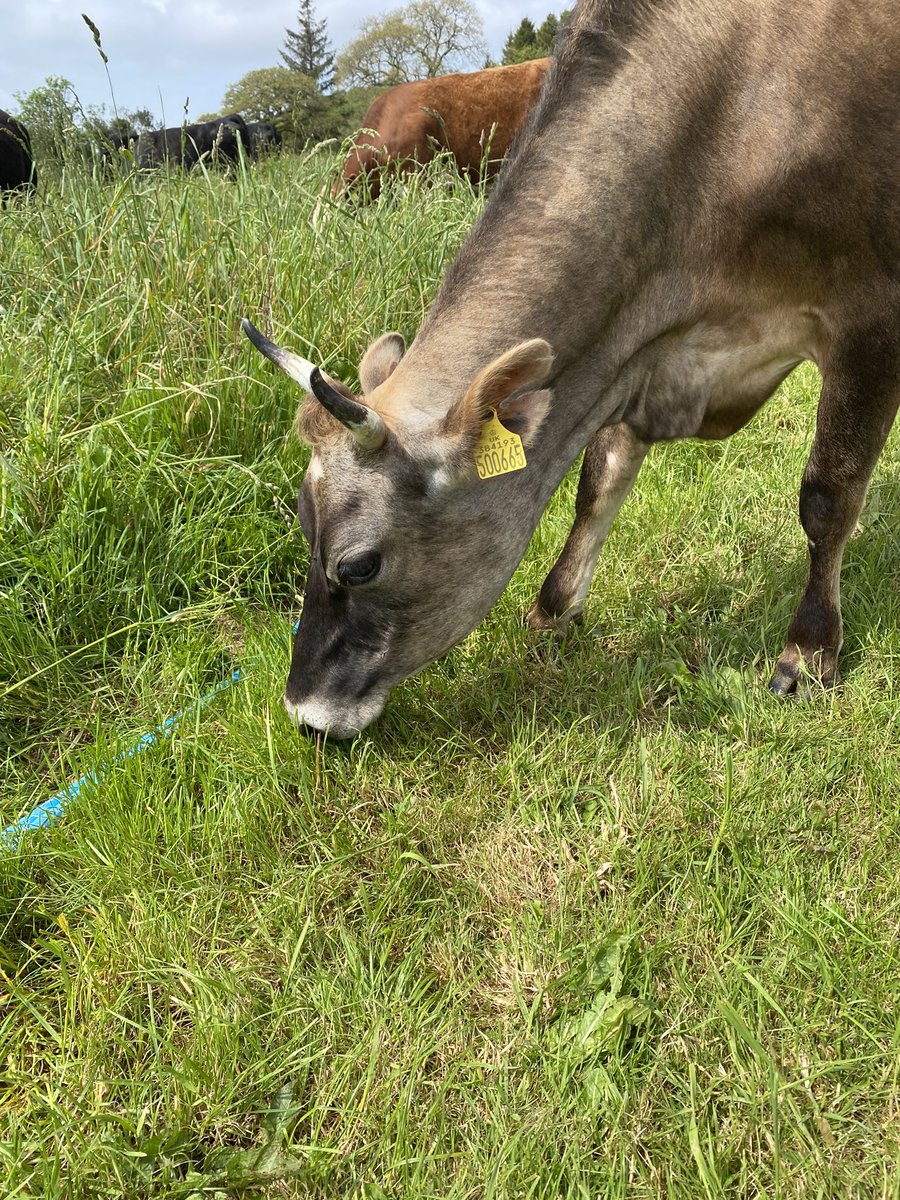 @WarminsterESS tweet media