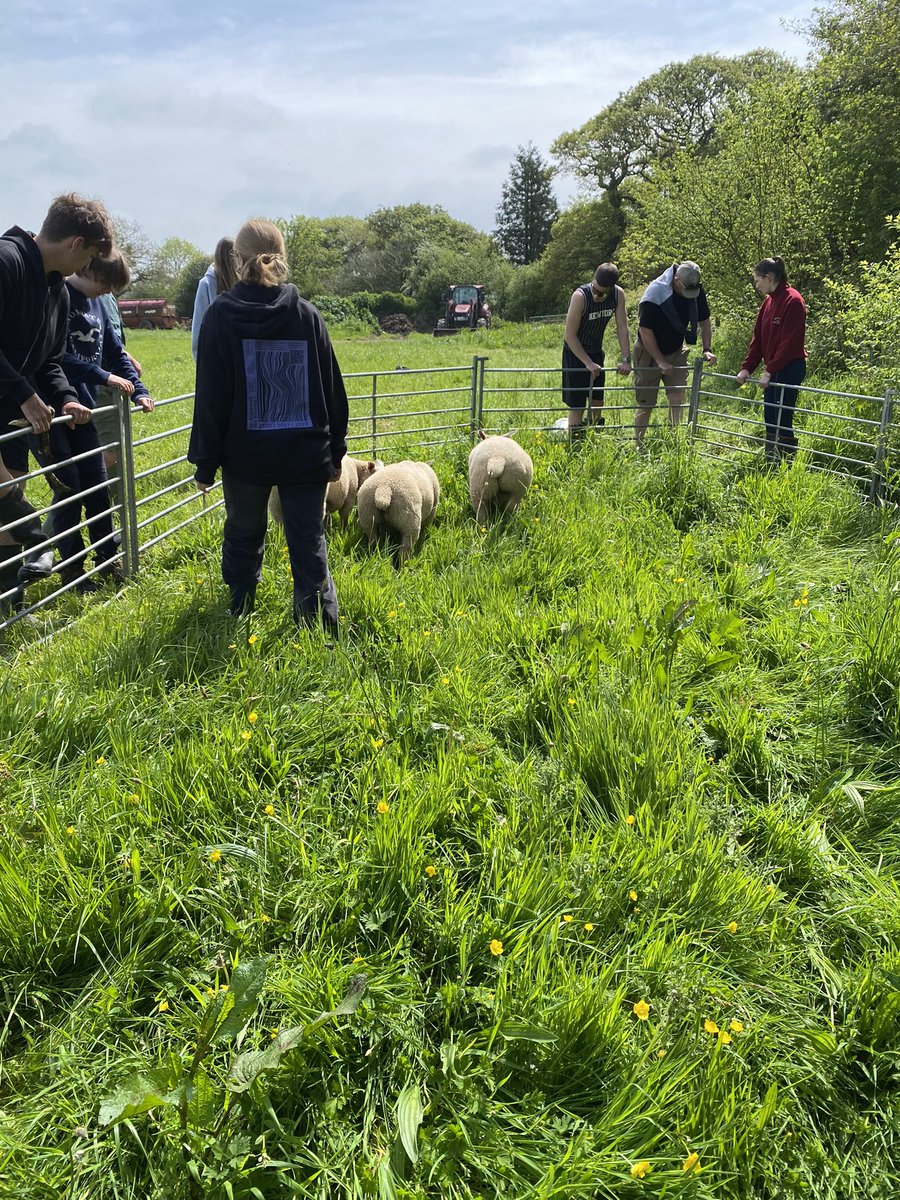 @WarminsterESS tweet media