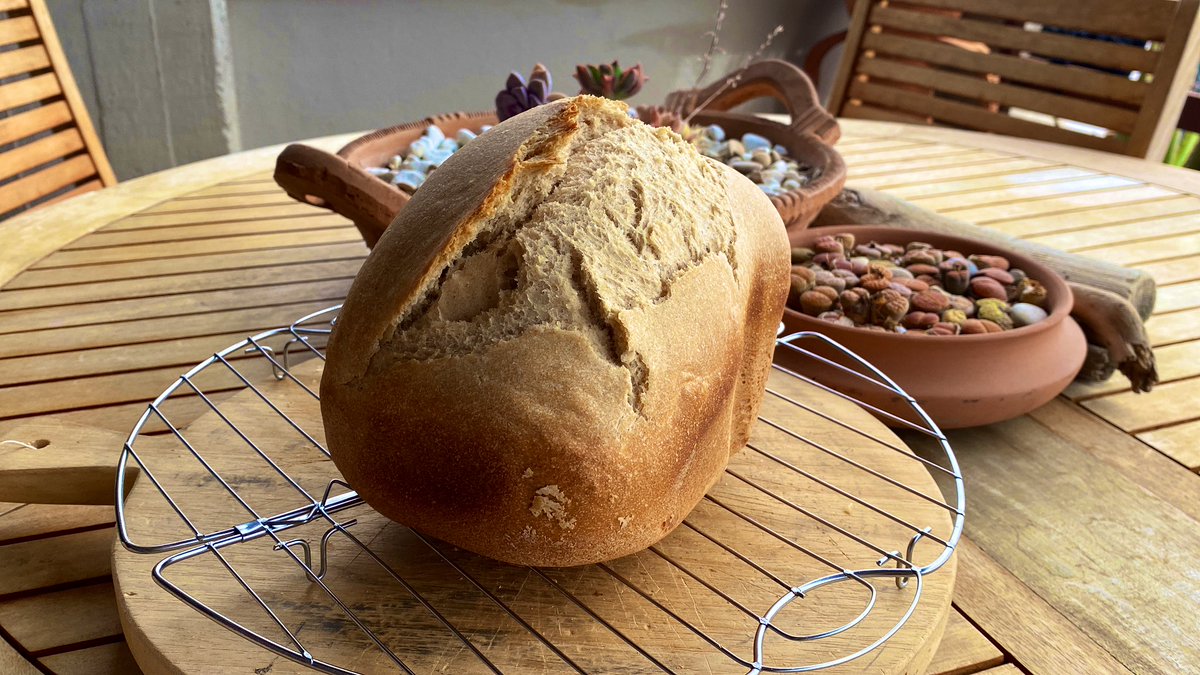 MamasPlanBe's tweet image. #lazysunday #breadmachine #sourdough #cookingwithcancer #lovelife
