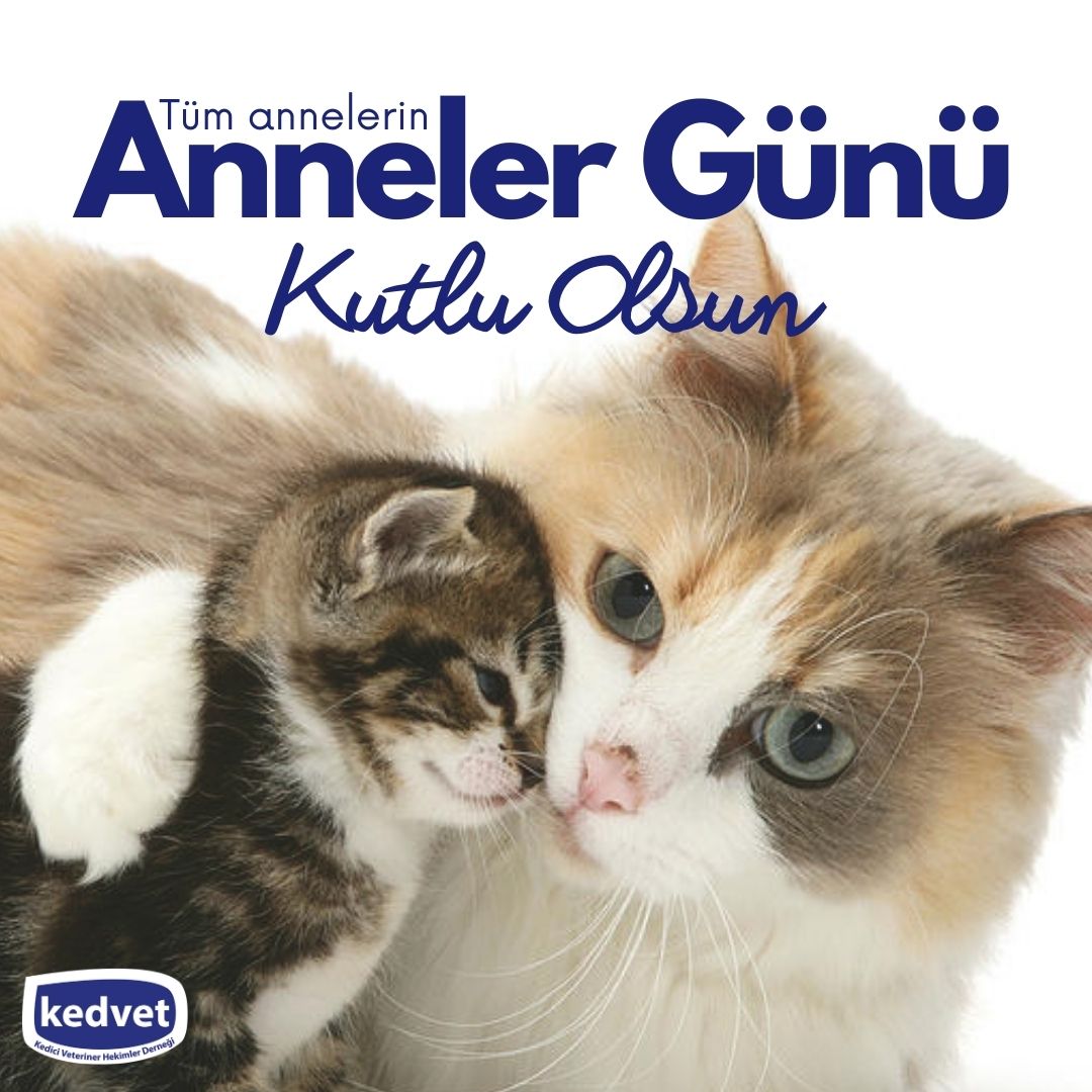 Evlatlarına insan, doğa, hayvan ve en önemlisi VATAN sevgisini aşılayan Annelerin günü kutlu olsun...

Dr.Tarkan Özçetin 
<a href="/DrTarkanOzcetin/">Tarkan Özçetin</a>