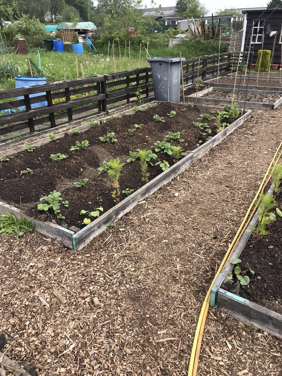 The VegPlot Man tweet media