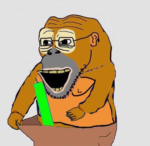MONKE tweet media