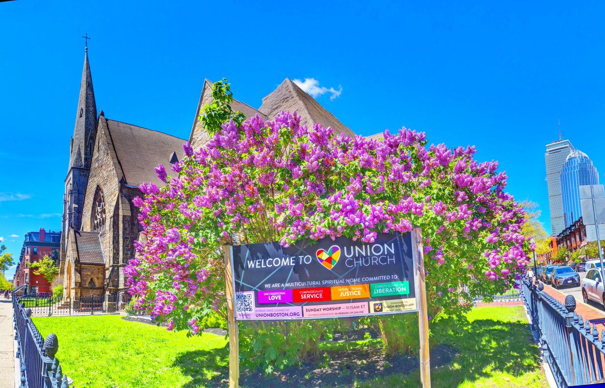 Happy Mother's Day & Lilac Sunday! The lilacs this year have been magnificent and this particular bush at Union Church in our South End shines! This church was attended by our beloved human rights champion Mel King and where his 'Coming Home' celebration was held last month. 🙏