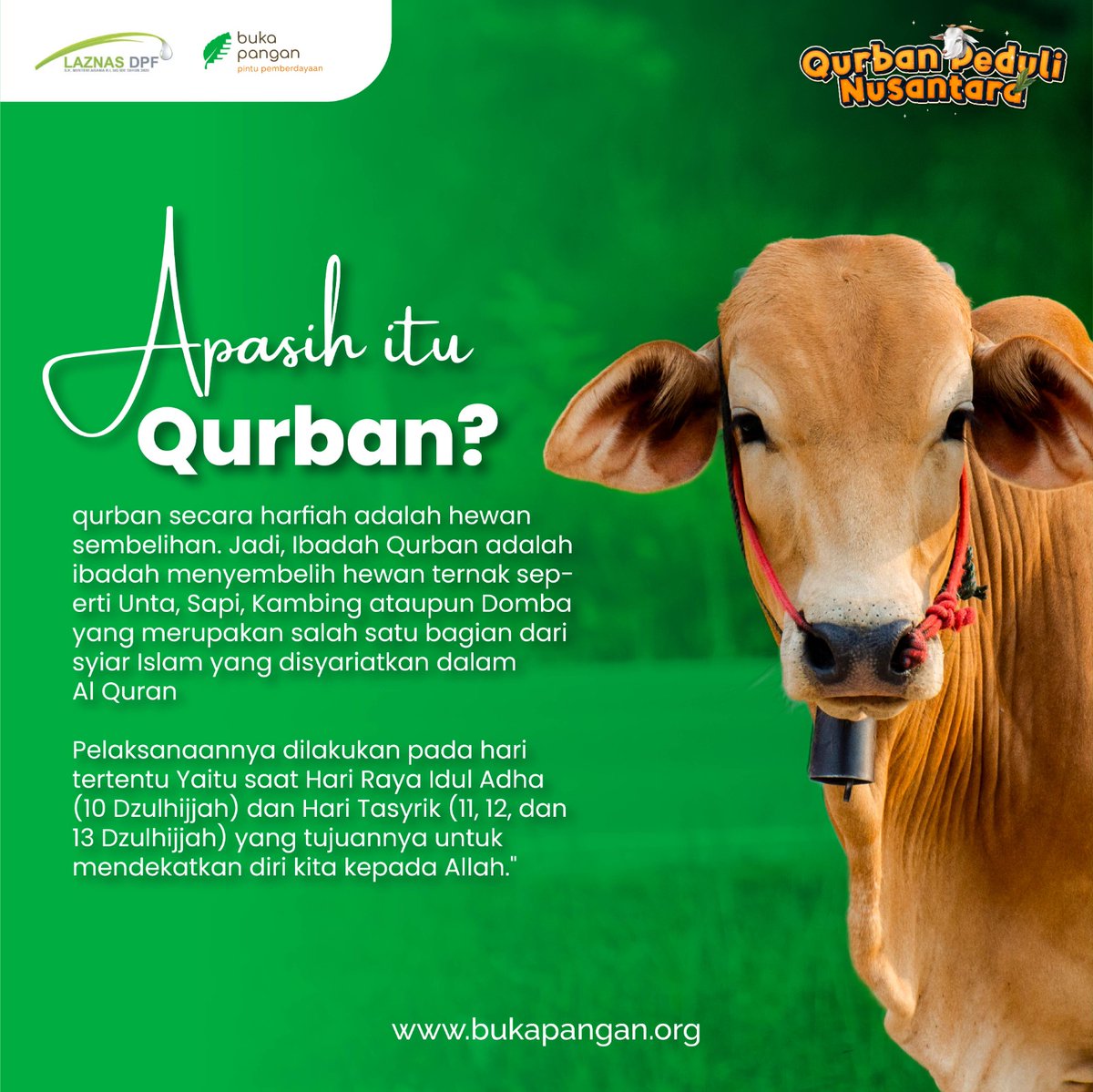 Beberapa bulan lagi kita akan memasuki bulan Djulhijjah. 

Artinya sebentar lagi kita akan melaksanakan ibadah haji &amp; qurban, dalam satu rangkaian ibadah yg sangat dianjurkan⁣.

Semoga Allah berikan kemurahan rezeki yg berkah &amp; halal, untuk berqurban tahun ini bisa terlaksana.