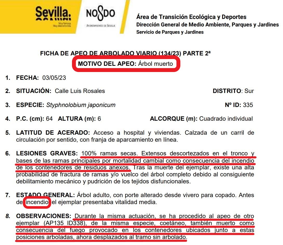 SOSterritorios's tweet photo. Así es la gestión de @Ayto_Sevilla @LipasamSevilla.
Otros 2 #Árboles quemados y #Talados.
Llevamos más de2⃣0⃣años exigiendo que los #ContenedoresDeResiduos se alejen del #Arbolado, antes de que se incendien.
El #Maltrato y sadismo contra los #Árboles no tiene límites en #Sevilla. https://t.co/c7VZYduhFw