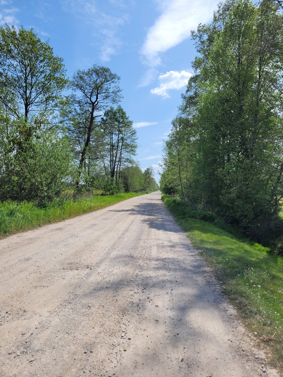 DawidPiorun's tweet photo. Wybieganko 15km z trenerką, nic się nie oszuka🙂 Końcówka poniżej 4,40min na km, w tym 1 sprint.
#bieganie #bieg #fitguys #fitcouple #fittata #rower #fitmaj #ruszsie https://t.co/WoKIjOC1cQ