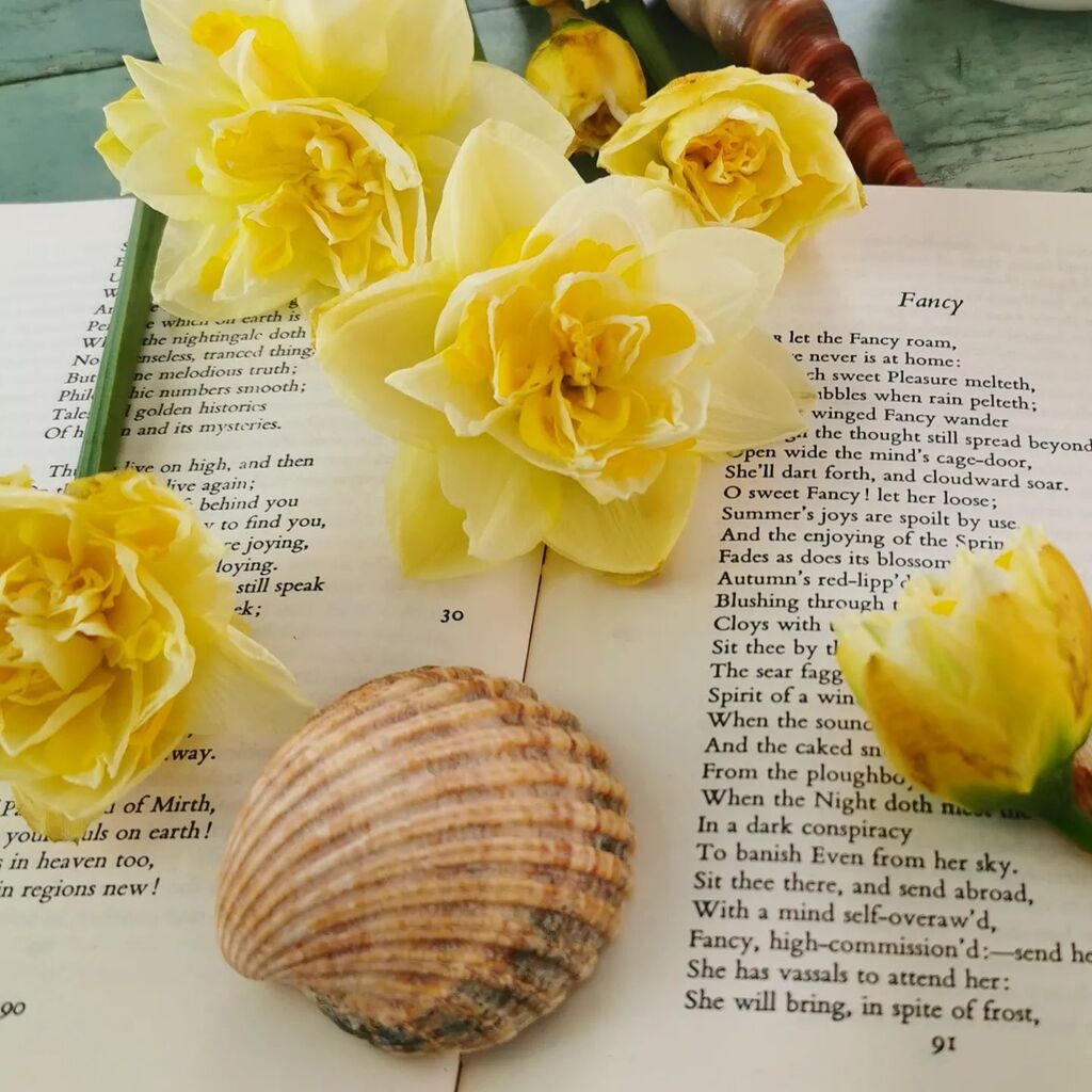 LiveLagom's tweet photo. Have a gorgeous Sunday 💖 https://t.co/a3zdFK1Bma https://t.co/r9qLoXzk5v
