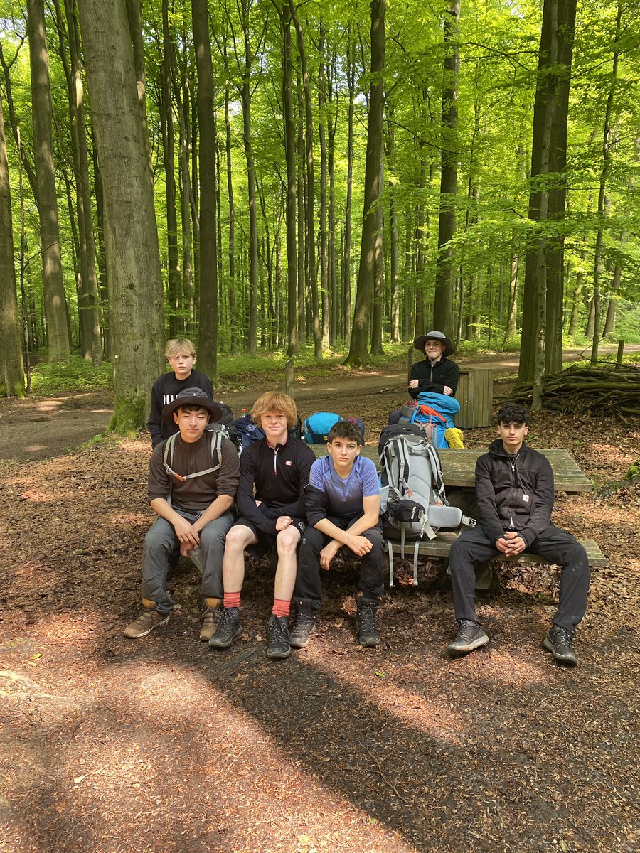 Erin Orens tweet media