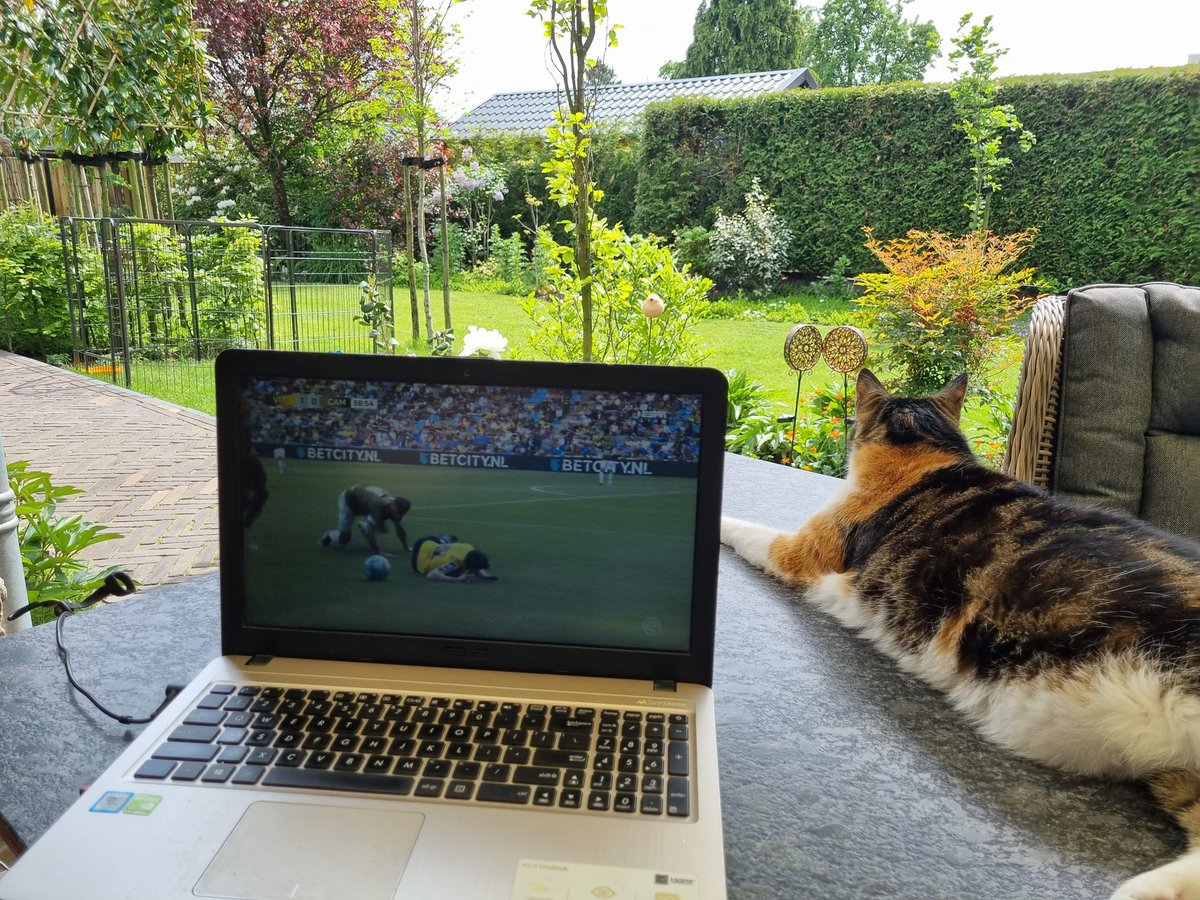 Zit er al helemaal klaar voor. Op naar het landskampioenschap 👊
<a href="/Feyenoord/">Feyenoord Rotterdam</a> #feygae