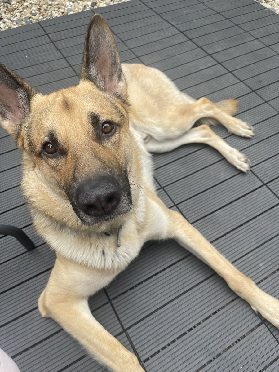 Another fabulous holiday, but glad to be back with my baby 😍