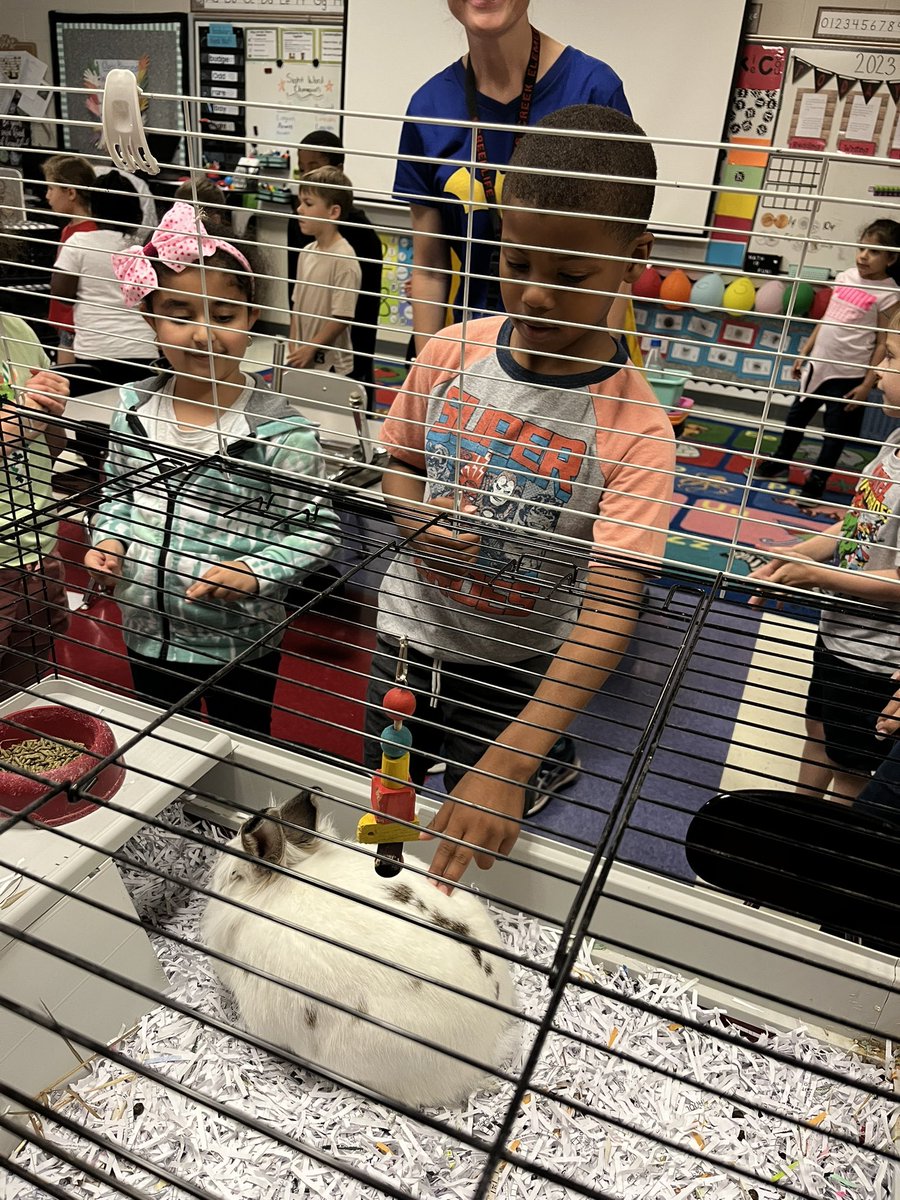 SCE Kindergarten tweet media