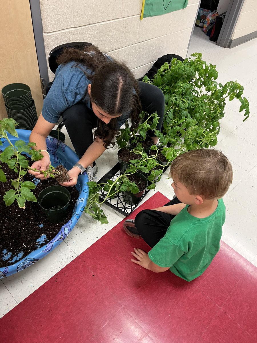 SCE Kindergarten tweet media